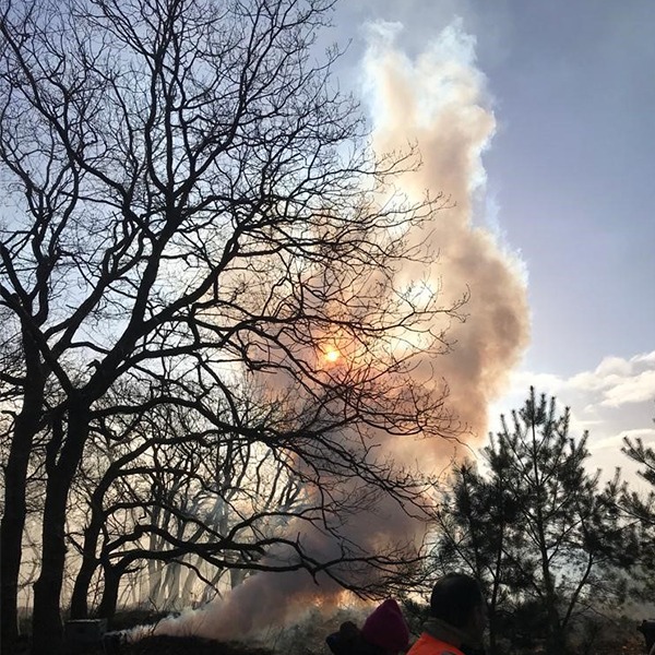 Fireware - BAMBI Waldbrand-Simulator